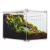 HerpCult Flat Clear Top Acrylic Terrarium Medium - 8" x 6" x 6" image thumbnail 2