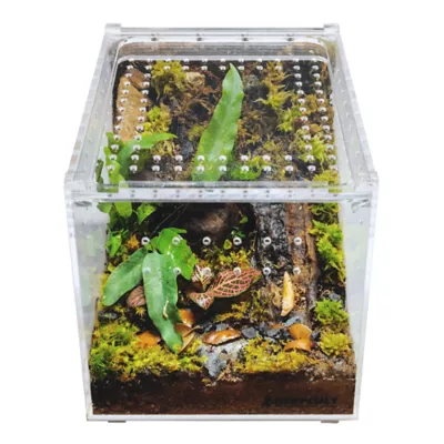 HerpCult Flat Clear Top Acrylic Terrarium Medium - 8" x 6" x 6" - Image 3