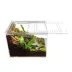 HerpCult Flat Clear Top Acrylic Terrarium Medium - 8" x 6" x 6" image thumbnail 4