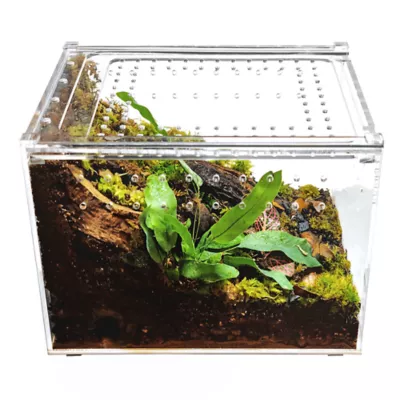 HerpCult Flat Clear Top Acrylic Terrarium Medium - 8" x 6" x 6" - Image 5