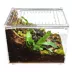HerpCult Flat Clear Top Acrylic Terrarium Medium - 8" x 6" x 6" image thumbnail 5
