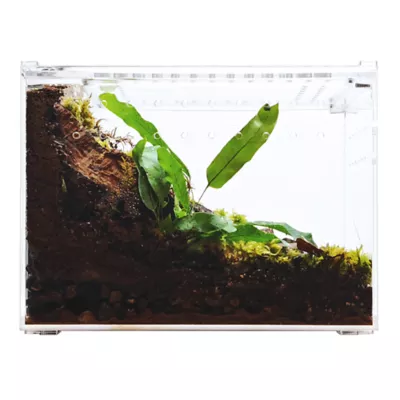 HerpCult Flat Clear Top Acrylic Terrarium Medium - 8" x 6" x 6" - Image 6
