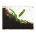 HerpCult Flat Clear Top Acrylic Terrarium Medium - 8" x 6" x 6" image thumbnail 6