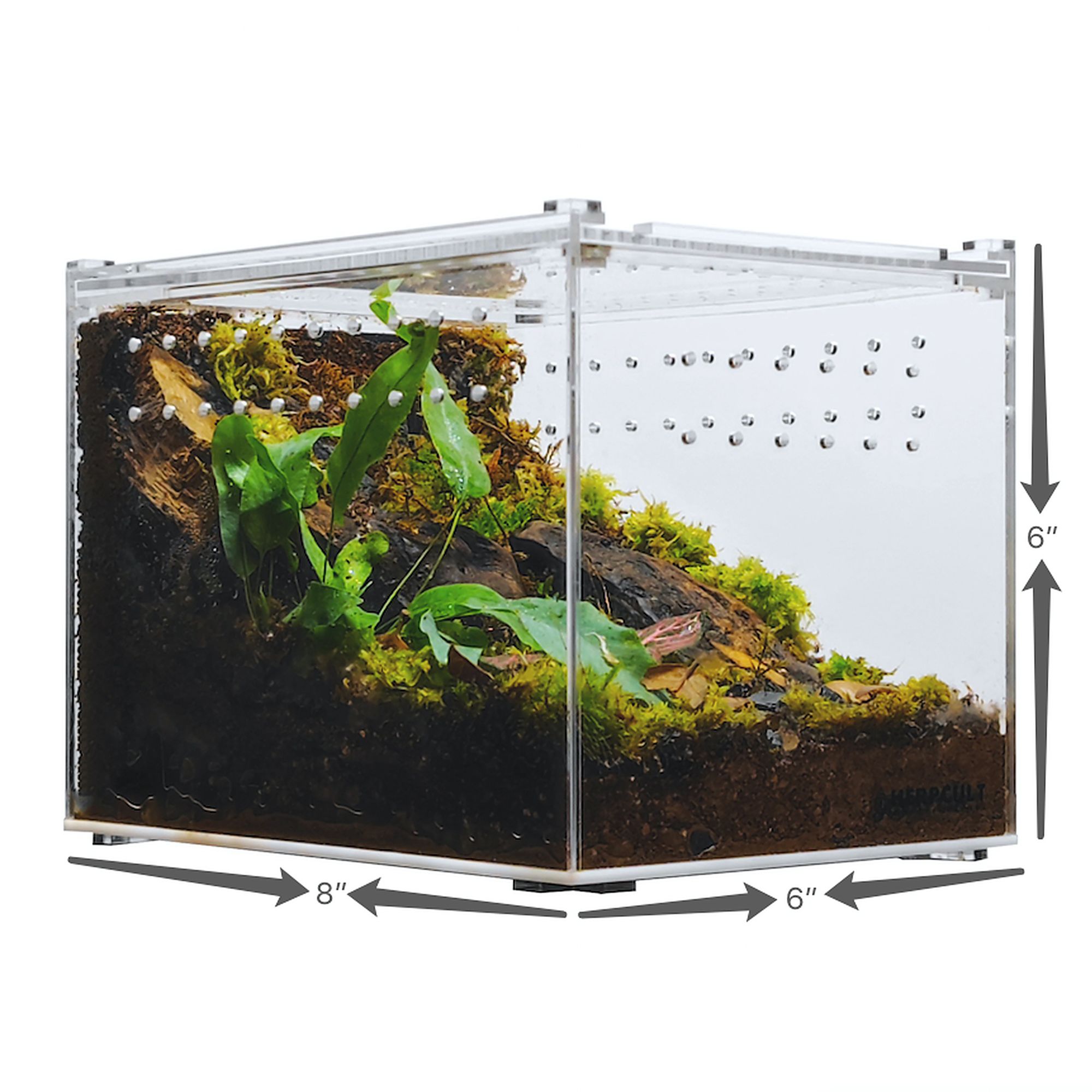 HerpCult Flat Clear Top Acrylic Terrarium Medium - 8" x 6" x 6" - thumbnail 7
