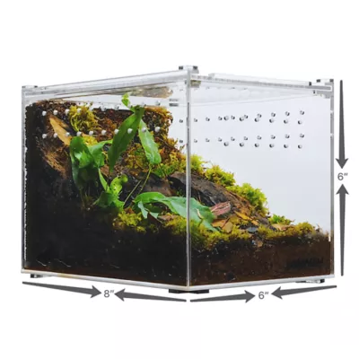 HerpCult Flat Clear Top Acrylic Terrarium Medium - 8" x 6" x 6" - Image 7