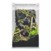 HerpCult Tall Acrylic Terrarium Small - 6" x 6" x 9.5" image thumbnail 1