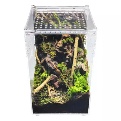 HerpCult Tall Acrylic Terrarium Small - 6" x 6" x 9.5" - Image 3