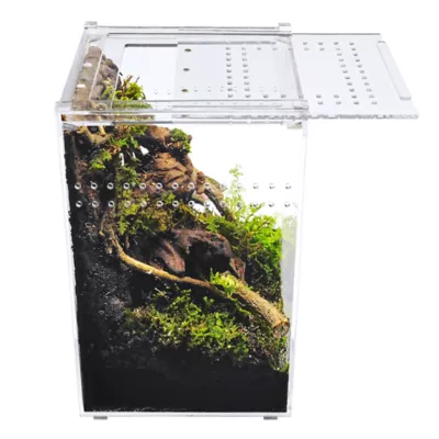 HerpCult Tall Acrylic Terrarium Small - 6" x 6" x 9.5" - Image 4