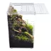 HerpCult Tall Acrylic Terrarium Small - 6" x 6" x 9.5" image thumbnail 4