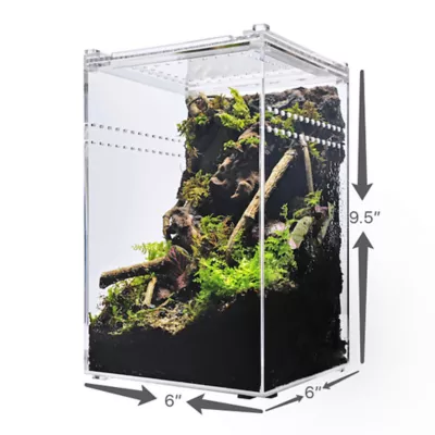 HerpCult Tall Acrylic Terrarium Small - 6" x 6" x 9.5" - Image 6