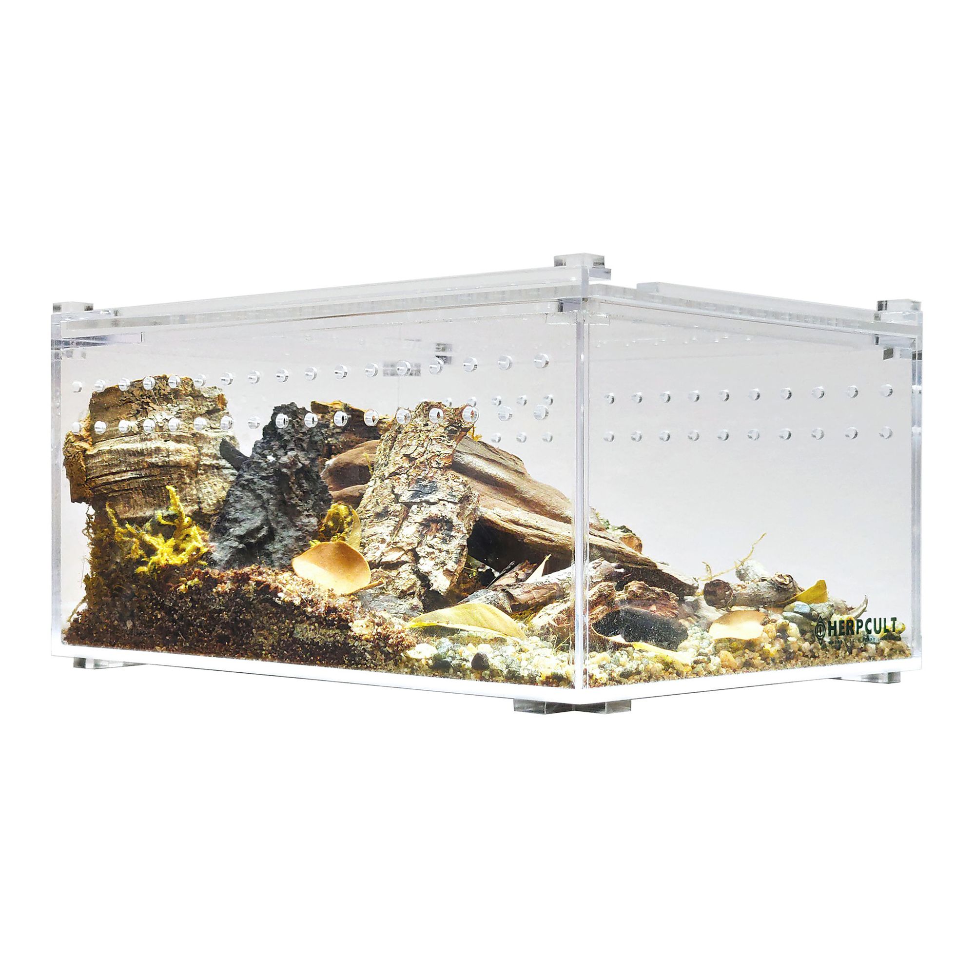 HerpCult Flat Acrylic Terrarium Small - 8" x 6" x 4" - thumbnail 2