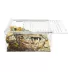 HerpCult Flat Acrylic Terrarium Small - 8" x 6" x 4" image thumbnail 3