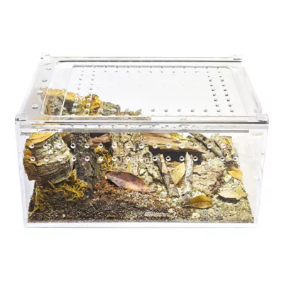 HerpCult Flat Acrylic Terrarium Small - 8" x 6" x 4" - Image 5