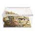HerpCult Flat Acrylic Terrarium Small - 8" x 6" x 4" image thumbnail 5