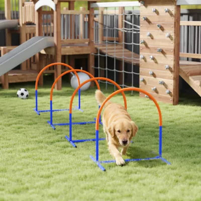 PawHut Dog Agility Training, 4 PCS Obstacle Course with Carrying Bag - Image 2