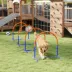 PawHut Dog Agility Training, 4 PCS Obstacle Course with Carrying Bag image thumbnail 2