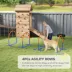PawHut Dog Agility Training, 4 PCS Obstacle Course with Carrying Bag image thumbnail 6