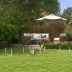 PawHut Dog Agility Kit Pet Obstacle Course Training Equipment with Weave Poles, Carry Bag image thumbnail 2