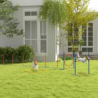 PawHut Dog Agility Training Equipment w/ Weave Poles, Adjustable Hurdle, Jump Ring, Pause Box, Balls - Image 2