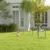 PawHut Dog Agility Training Equipment w/ Weave Poles, Adjustable Hurdle, Jump Ring, Pause Box, Balls image thumbnail 2