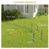 PawHut Dog Agility Training Equipment w/ Weave Poles, Adjustable Hurdle, Jump Ring, Pause Box, Balls image thumbnail 5