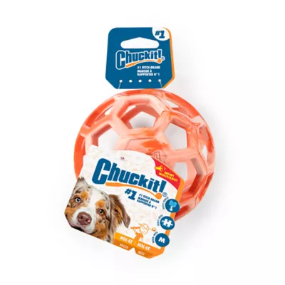 Chuckit! Holee Roller Dog Toy Color & Size Vary - Image 1
