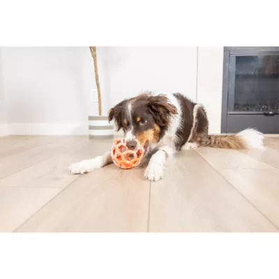 Chuckit! Holee Roller Dog Toy Color & Size Vary - Image 3