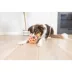 Chuckit! Holee Roller Dog Toy Color & Size Vary image thumbnail 3