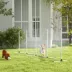 PawHut 2PCs Dog Agility Kit with Weave Poles, Spray Water Tube, Whistle, Carry Bag image thumbnail 2