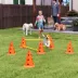 PawHut Dog Agility Hurdle Cone Set, Adjustable Obstacle Course Equipment with 6 Cones & 6 Poles,Bag image thumbnail 2
