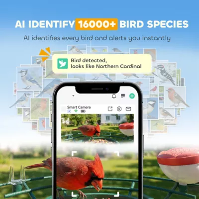 PawHut Smart Bird Feeder Camera with AI Identify 16000+ Birds, Auto Video Capture, Solar Powered - Image 4