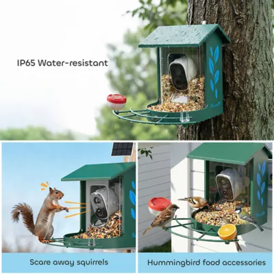 PawHut Smart Bird Feeder Camera with AI Identify 16000+ Birds, Auto Video Capture, Solar Powered - Image 7