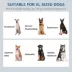 PawHut Large Elevated Pet Feeder with Storage and 2 Stainless Steel Dog Bowls image thumbnail 4