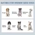 Dog Feeding Station and Storage w/ Hooks and Adjustable Shelf, 2 Bowls image thumbnail 4