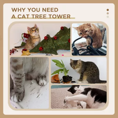 PawHut Cat Tree Kitty Tower with Sisal Mat Scratching Post, Cat Bed, Cushion, Perch, 18" x 18" x 36" - Image 7
