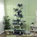 PawHut 81" Large Cat Tree w/ Scratching Posts, Condos, Beds, Hammocks, Jumping Platforms, Toy Balls image thumbnail 3