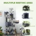 PawHut 81" Large Cat Tree w/ Scratching Posts, Condos, Beds, Hammocks, Jumping Platforms, Toy Balls image thumbnail 4