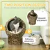 PawHut Wicker Cat Bed with Cushion, Stand, for Indoor Use image thumbnail 4