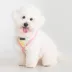 Puppia® Nola Pastel Tie-Dye Over-the-Head Dog Harness image thumbnail 3