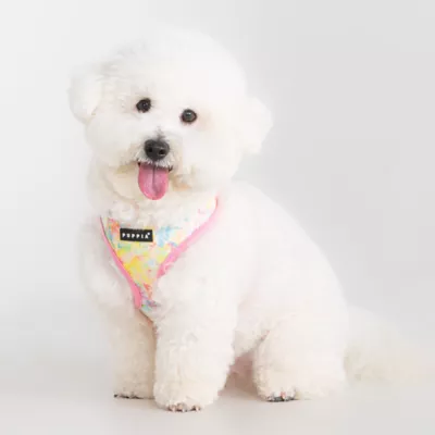 Puppia® Nola Pastel Tie-Dye Over-the-Head Dog Harness - Image 3
