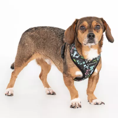 Puppia® Connor Dog Sketch Over-the-Head Dog Harness - Image 3