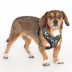 Puppia® Connor Dog Sketch Over-the-Head Dog Harness image thumbnail 3