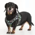 Puppia® Connor Dog Sketch Step-In Dog Harness image thumbnail 4