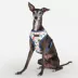 Puppia® Connor Dog Sketch Over-the-Head Dog Harness image thumbnail 3