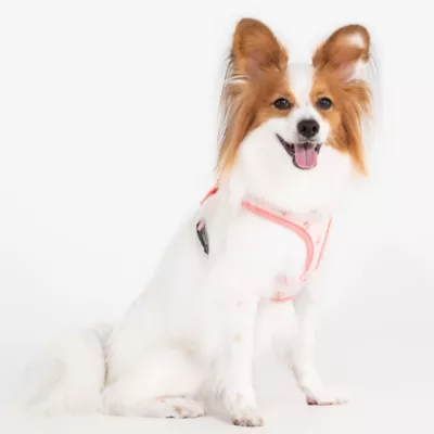 Puppia® Pawprint Textured Over-the-Head Dog Harness - Image 3