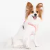 Puppia® Pawprint Textured Over-the-Head Dog Harness image thumbnail 3