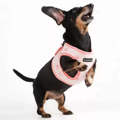 Puppia® Pawprint Textured Step-In Dog Harness - Image 4
