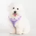 Puppia® Vivien Gingham Ruffle Air-Mesh Over-the-Head Dog Harness image thumbnail 3