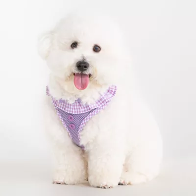 Puppia® Vivien Gingham Ruffle Air-Mesh Over-the-Head Dog Harness - Image 3