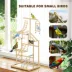 PawHut Bird Playground, 4 Layer Wooden Play Stand with Ladders, Chain Toy, Stainless Steel Cups,Tray image thumbnail 7